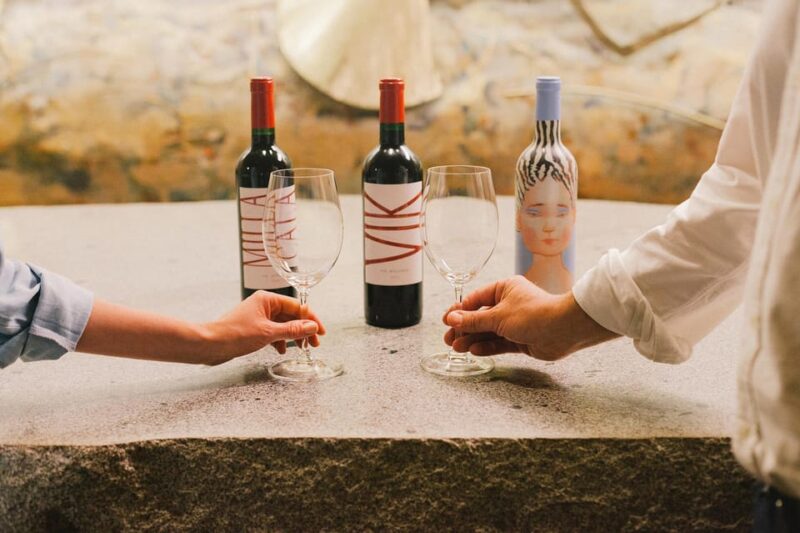 Santiago: Guided VIK Winery Tour With Tasting & Hotel Pickup - Tour Overview