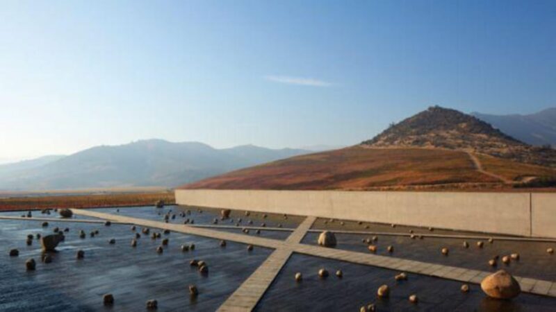 Santiago: Guided VIK Winery Tour With Tasting & Hotel Pickup - Booking Information
