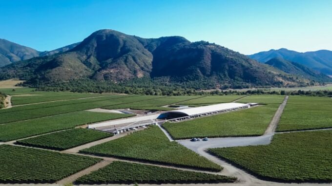 Santiago: Guided VIK Winery Tour With Tasting & Hotel Pickup - Taste Award-Winning Wines