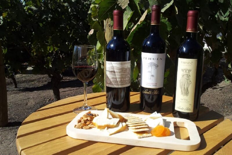 Santiago: Half–Day Santa Rita Vineyard Tour - Tour Experience