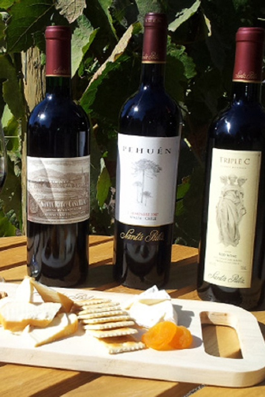 Santiago: Half–Day Santa Rita Vineyard Tour - Tour Experience