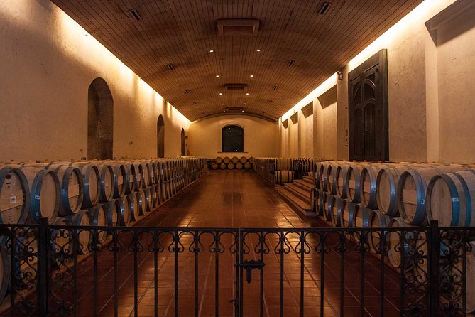 Santiago: Half Day Visit to Concha Y Toro Vineyard, Include Entrace & Transport - Important Considerations