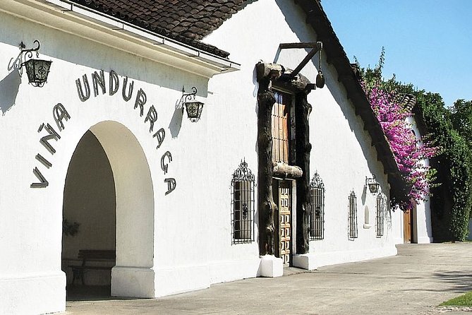 Santiago: Half Day Visit to Undurraga Vineyard, Entrance and Transport Included - Key Points