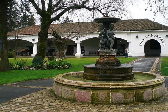 Santiago: Half Day Visit to Undurraga Vineyard, Entrance and Transport Included - Inclusions and Pricing