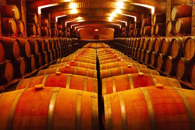 Santiago: Half Day Visit to Undurraga Vineyard, Entrance and Transport Included - Visitor Reviews and Recommendations