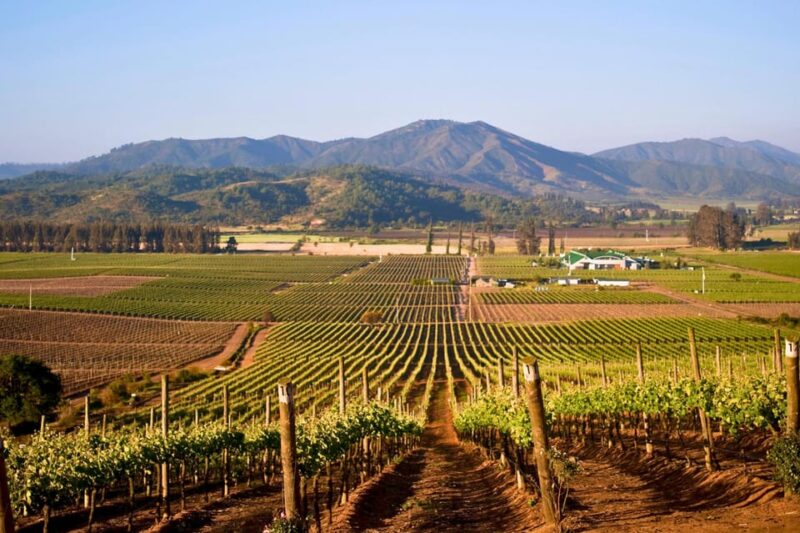 Santiago: Isla Negra, Algarrobo, Casas Del Bosque Vineyard - What to Bring