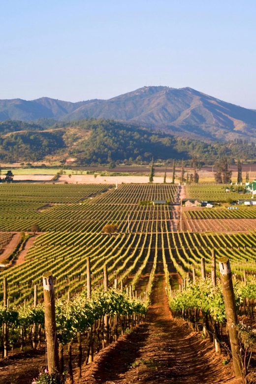 Santiago: Isla Negra, Algarrobo, Casas Del Bosque Vineyard - Transportation and Meeting Points