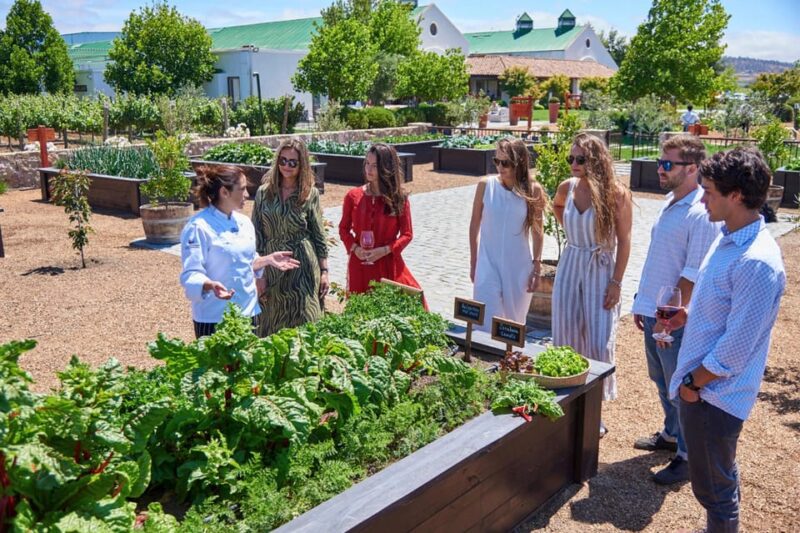 Santiago: Isla Negra, Algarrobo, Casas Del Bosque Vineyard - Customer Reviews and Feedback