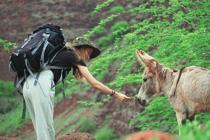 Santiago Island: 4-Hour Calabaceira Valley Hike & Guided Tour to Cidade Velha - Hiking Details