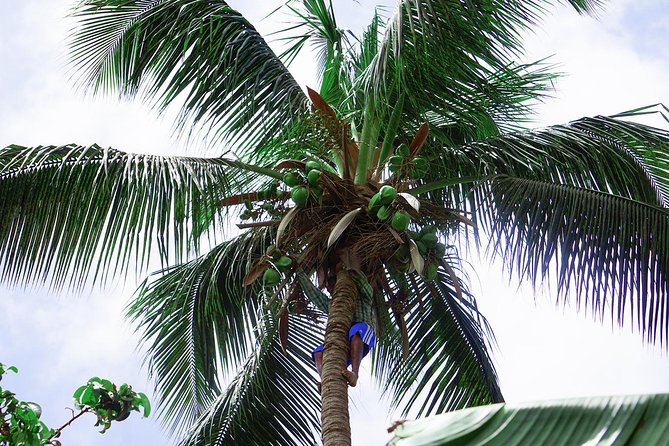 Santiago Island: Banana Plantation, Natural Park & Workshop With a Local Family - Tour Features