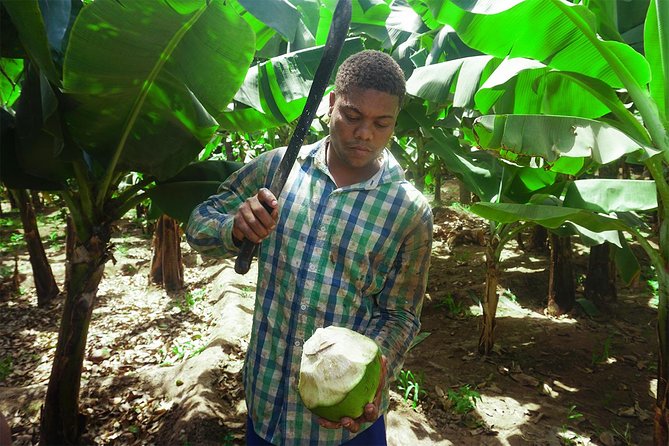 Santiago Island: Banana Plantation, Natural Park & Workshop With a Local Family - Plantation Visit