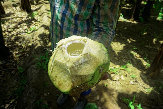 Santiago Island: Banana Plantation, Natural Park & Workshop With a Local Family - Cooking Workshop