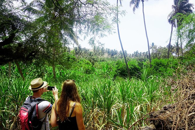 Santiago Island: Banana Plantation, Natural Park & Workshop With a Local Family - Cultural Immersion