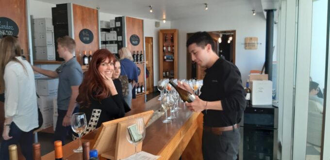 Santiago: Main Chilean Wineries Private Half-Day Tours - Customer Feedback and Ratings