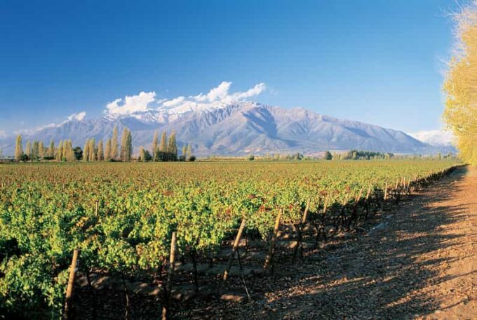 Santiago: Main Chilean Wineries Private Half-Day Tours - Frequently Asked Questions