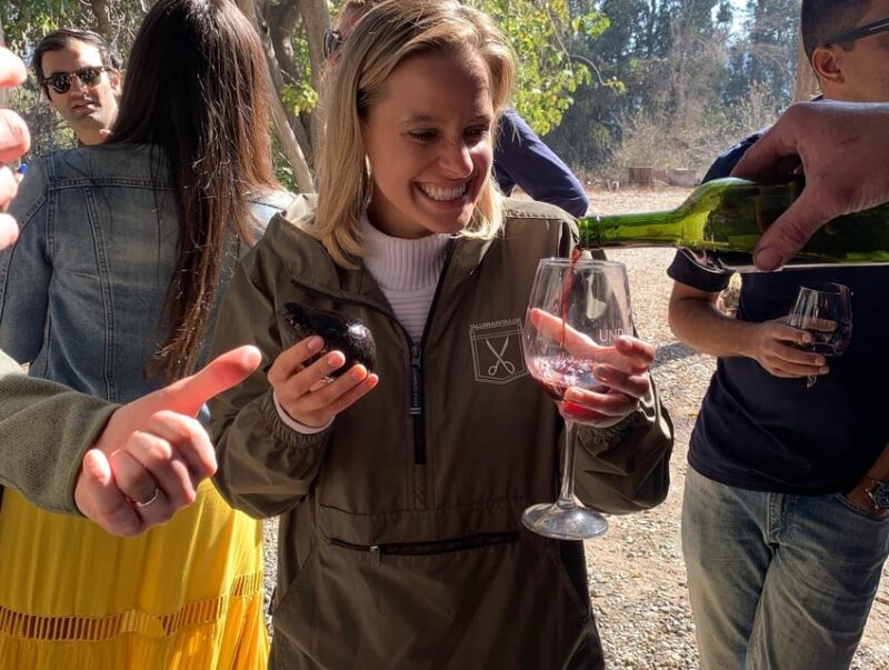 Santiago: Maipo Valley Wine Tasting Tour With 4 Vineyards - Itinerary Highlights