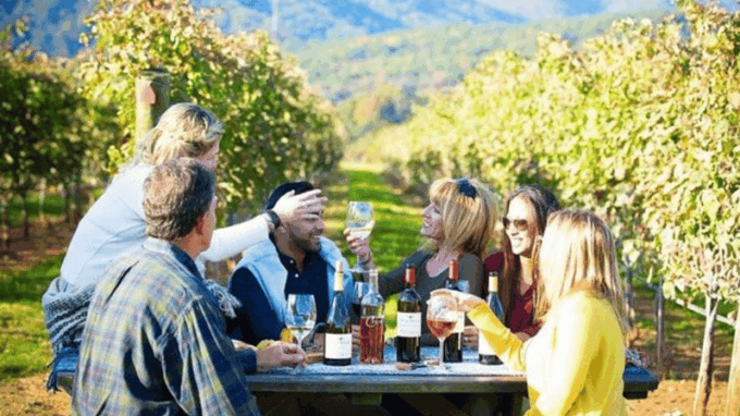 Santiago: Maipo Valley Wine Tasting Tour With 4 Vineyards - Important Details