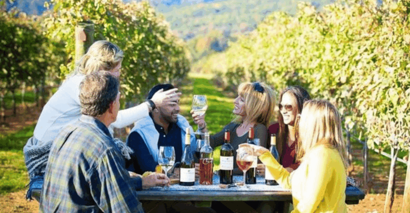 Santiago: Maipo Valley Wine Tasting Tour With 4 Vineyards - Key Points