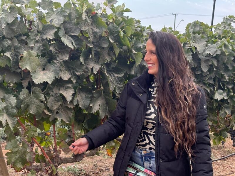 Santiago: Maipo Valley Wine Tasting Tour With 4 Vineyards - Pickup and Accessibility