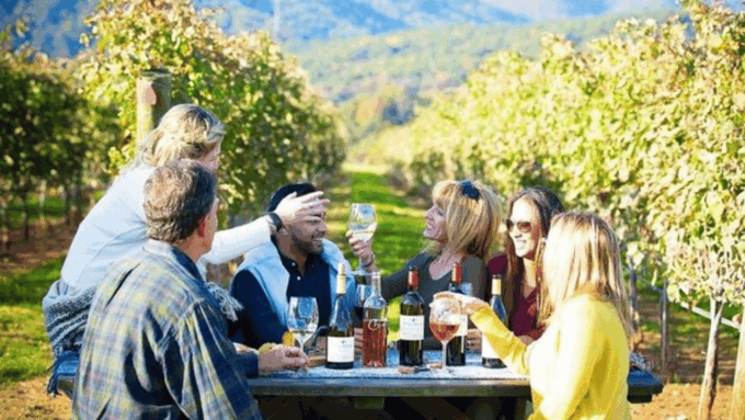 Santiago: Maipo Valley Wine Tasting Tour With 4 Vineyards - Maipo Valley Wineries