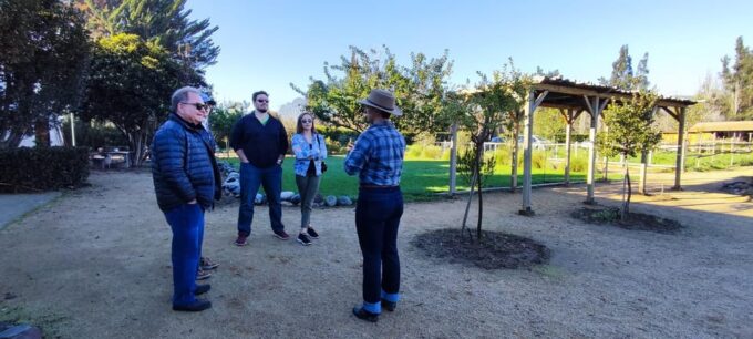 Santiago: Maipo Valley Wine Tasting Tour With 4 Vineyards - Premium Wine Tastings
