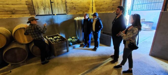 Santiago: Maipo Valley Wine Tasting Tour With 4 Vineyards - Guided Tours and Lunch