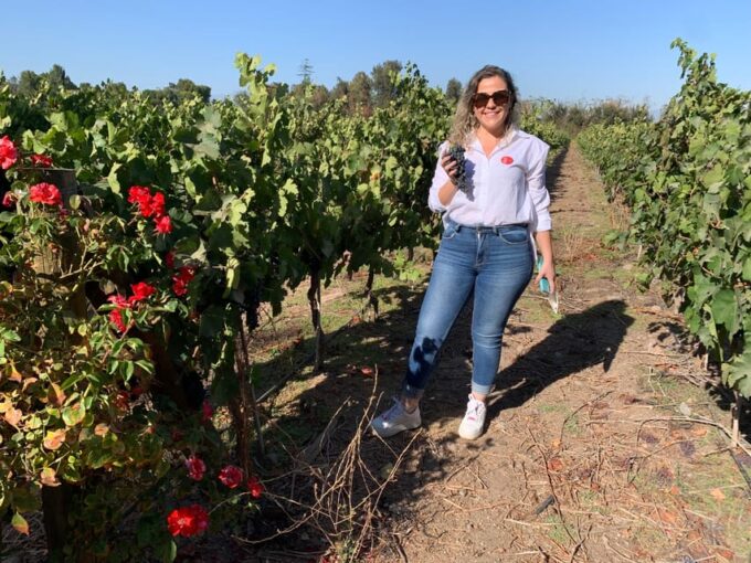 Santiago: Maipo Valley Wine Tasting Tour With 4 Vineyards - Frequently Asked Questions
