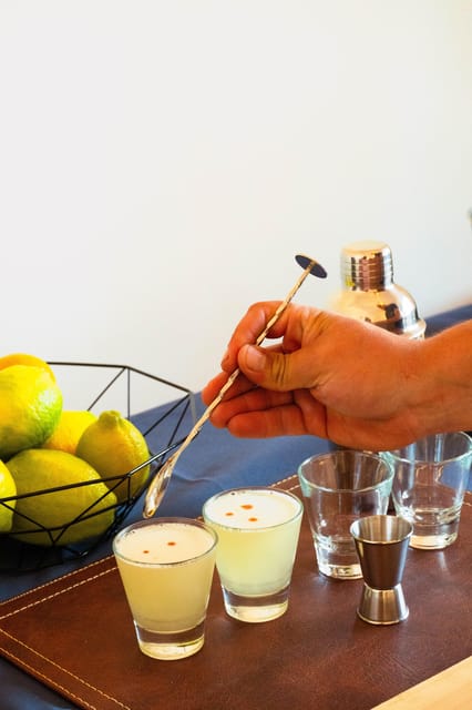Santiago: Pisco Sour Class With Tastings - Experience Highlights