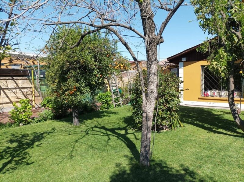 Santiago: Premium Barbecue at Family Home - Additional Information