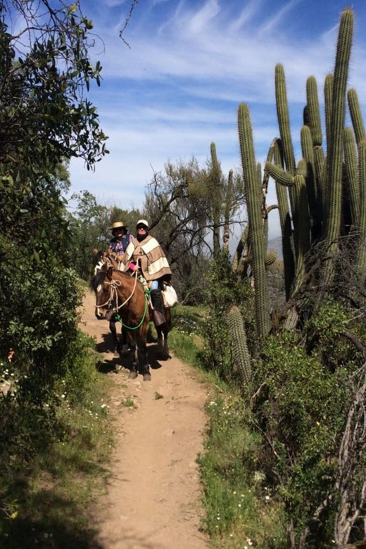 Santiago: Private Andes Foothills Horseback Riding. Half Day - Itinerary
