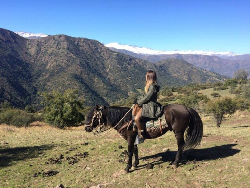 Santiago: Private Andes Foothills Horseback Riding. Half Day - Requirements and Inclusions