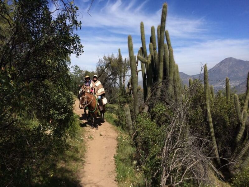 Santiago: Private Andes Foothills Horseback Riding. Half Day - Traveler Reviews