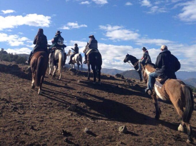 Santiago: Private Andes Foothills Horseback Riding. Half Day - Safety Precautions