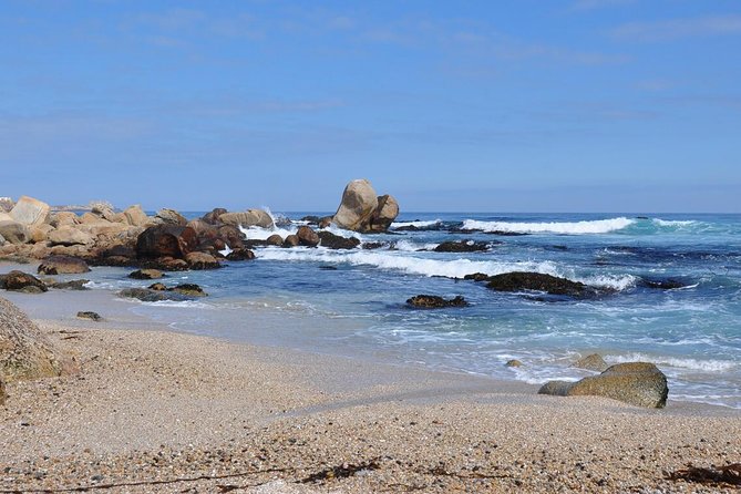 Santiago: Private Full Day Tour Pomaire & Isla Negra, Includes Entrance - Meeting and Pickup