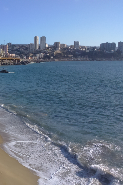 Santiago: Private Full-Day Valparaiso and Viña Del Mar Tour - Important Information
