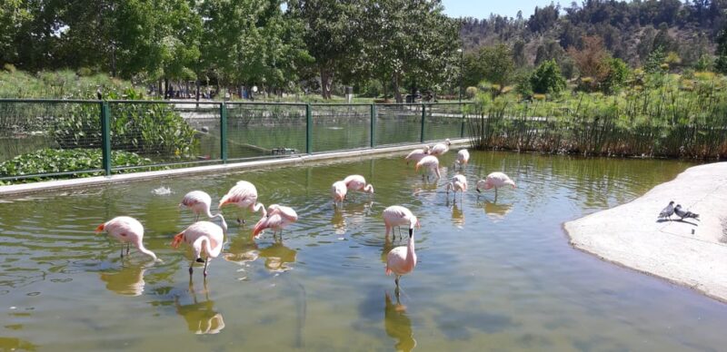 Santiago: Private Half-Day City Tour - Important Notes