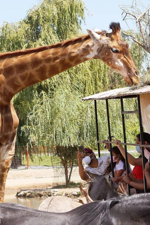 Santiago, Safari Park - Key Points