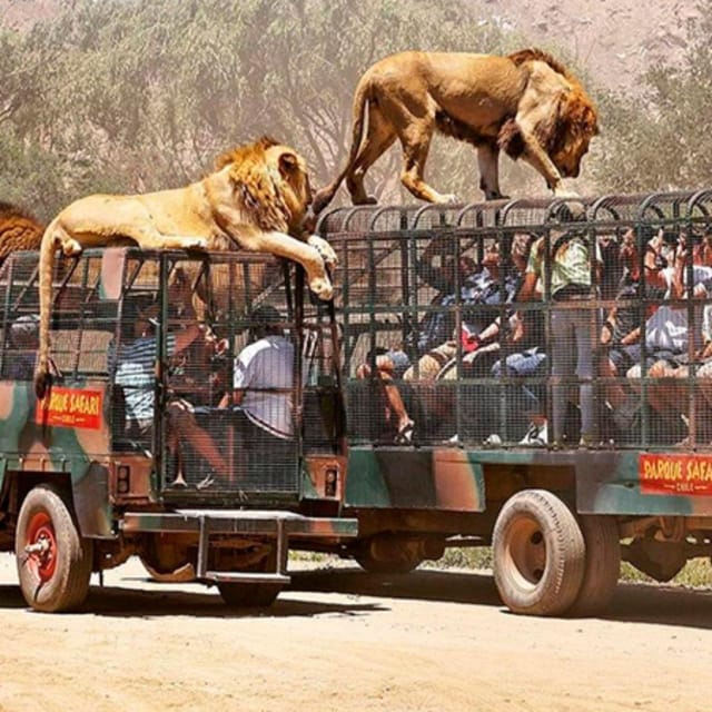 Santiago, Safari Park - Duration and Group Size Details