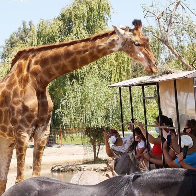Santiago, Safari Park - Languages and Pickup Service