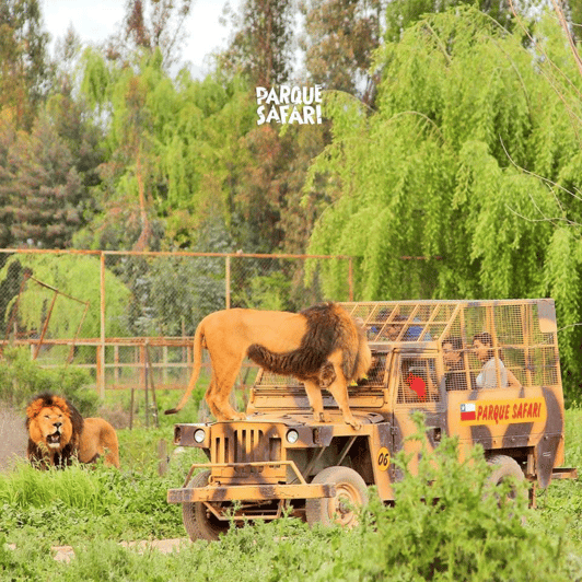 Santiago: Safari Rancagua Tour - Transportation and Itinerary