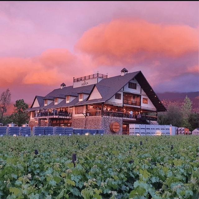 Santiago: Sunset Winery Tour With Wine Tastings and Dinner - Key Points