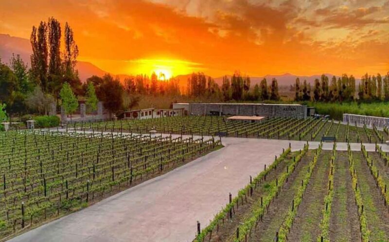 Santiago: Sunset Winery Tour With Wine Tastings and Dinner - Inclusions and What to Bring
