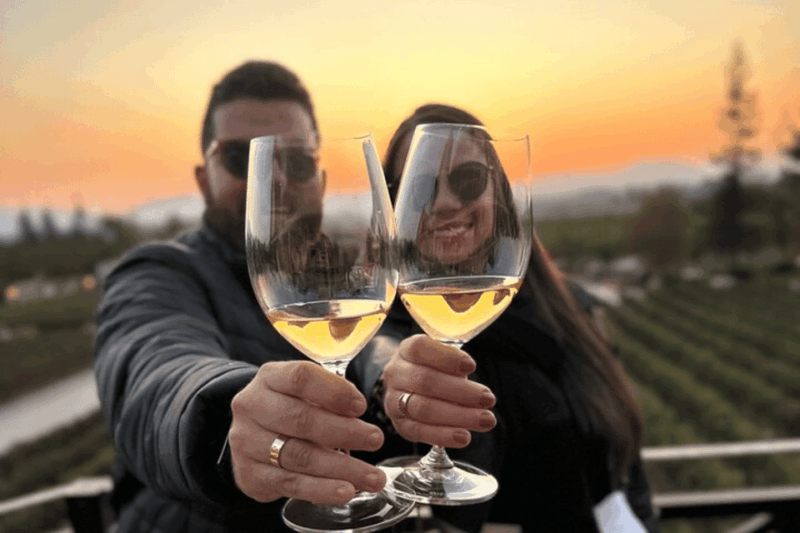 Santiago: Sunset Winery Tour With Wine Tastings and Dinner - Customer Reviews and Ratings