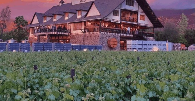 Santiago: Sunset Winery Tour With Wine Tastings and Dinner - Winery Highlights and Amenities