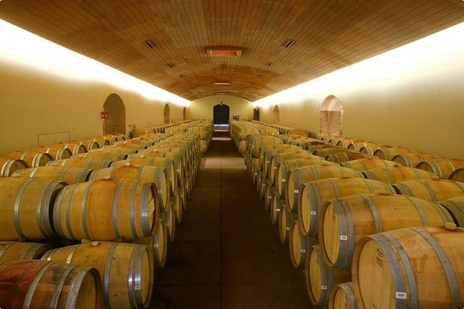 Santiago Super Saver: 2-Day City Sightseeing and Concha Y Toro Winery Tour - Customer Feedback and Recommendations