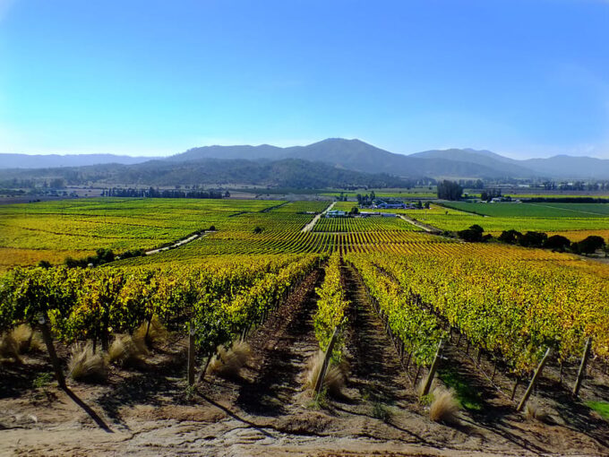 Santiago: Tour to Valparaiso and Casablanca - Transportation Details