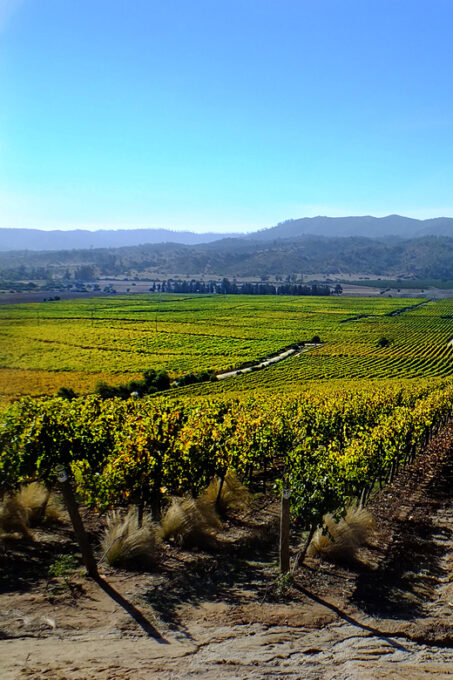 Santiago: Tour to Valparaiso and Casablanca - Customer Feedback
