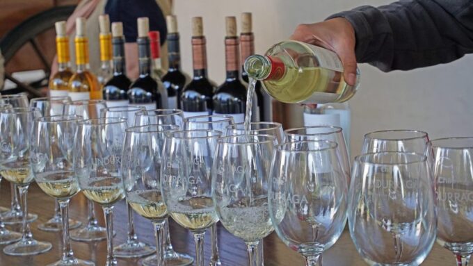 Santiago: Undurraga Winery Tour With Entry and Wine Tasting - Customer Feedback Summary