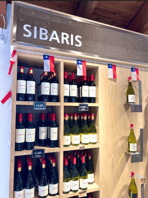 Santiago: Undurraga Winery Tour With Entry and Wine Tasting - What to Expect