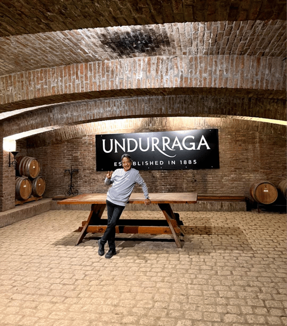 Santiago: Undurraga Winery Tour With Entry and Wine Tasting - Guided Tour Highlights
